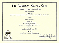 Vinny DCAT certificate.