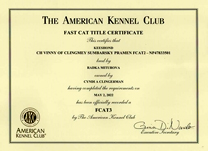 Vinny FCAT3 certificate.