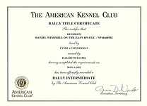 Zaan Intermediate Rally certificate.