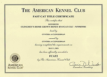 Boo FCAT 2 certificate