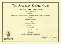 Boo FCAT 3 certificate