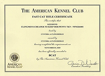Penny certificate.