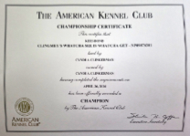 Dazzle, CH Certification